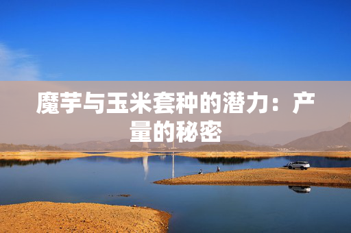 魔芋与玉米套种的潜力：产量的秘密