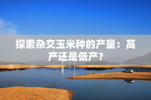 探索杂交玉米种的产量：高产还是低产？