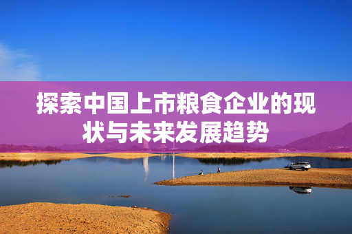 探索中国上市粮食企业的现状与未来发展趋势
