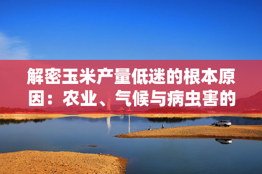 解密玉米产量低迷的根本原因：农业、气候与病虫害的多重影响