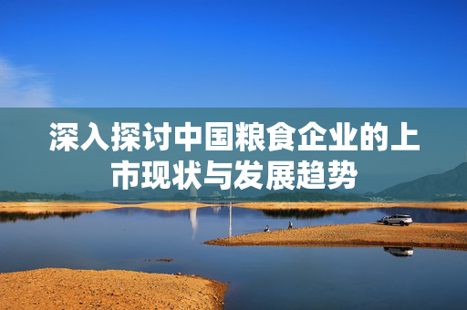 深入探讨中国粮食企业的上市现状与发展趋势