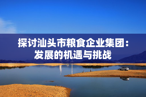 探讨汕头市粮食企业集团：发展的机遇与挑战