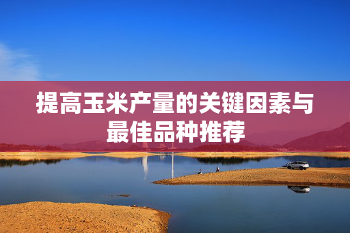 提高玉米产量的关键因素与最佳品种推荐
