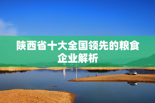 陕西省十大全国领先的粮食企业解析