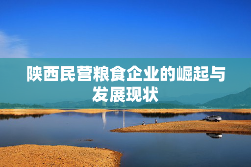 陕西民营粮食企业的崛起与发展现状