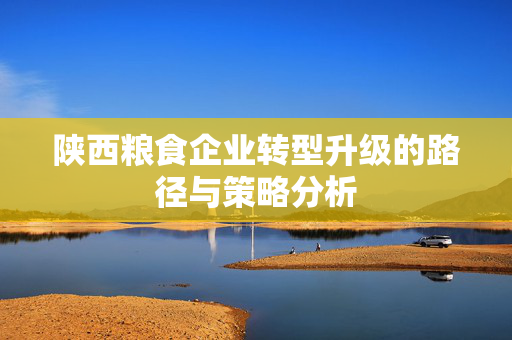陕西粮食企业转型升级的路径与策略分析