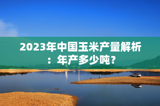 2023年中国玉米产量解析：年产多少吨？
