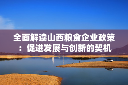 全面解读山西粮食企业政策：促进发展与创新的契机