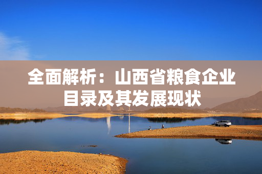 全面解析：山西省粮食企业目录及其发展现状