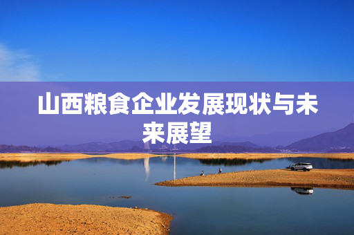 山西粮食企业发展现状与未来展望