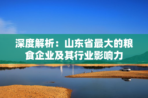 深度解析：山东省最大的粮食企业及其行业影响力