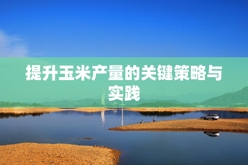 提升玉米产量的关键策略与实践