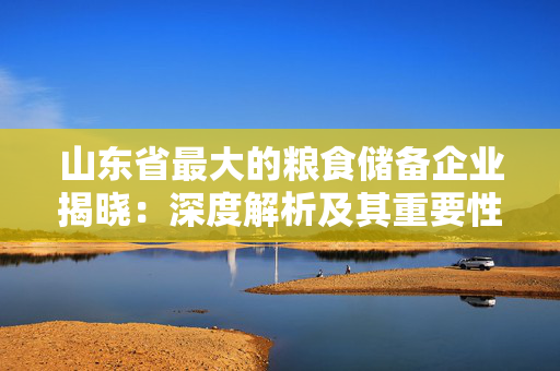 山东省最大的粮食储备企业揭晓：深度解析及其重要性