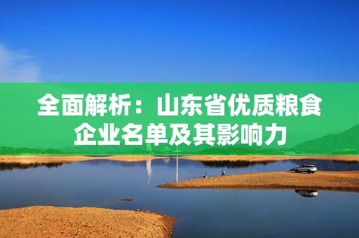 全面解析：山东省优质粮食企业名单及其影响力