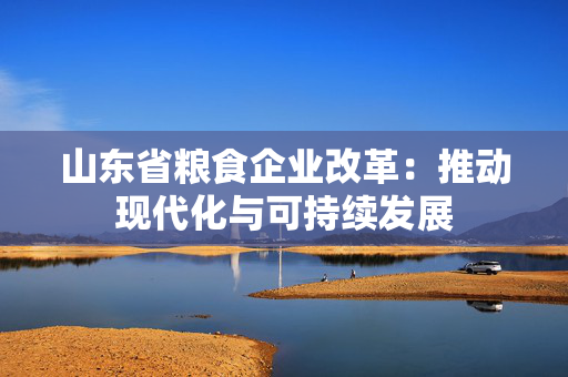 山东省粮食企业改革：推动现代化与可持续发展