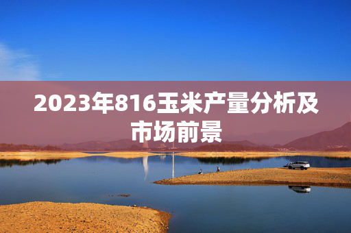 2023年816玉米产量分析及市场前景