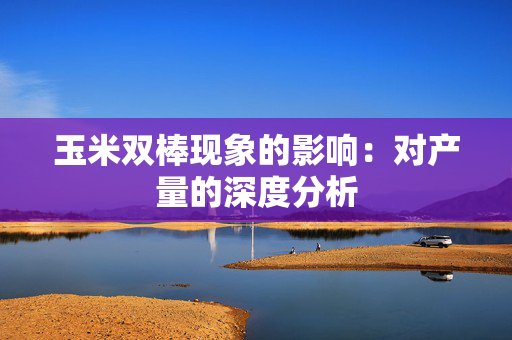 玉米双棒现象的影响：对产量的深度分析