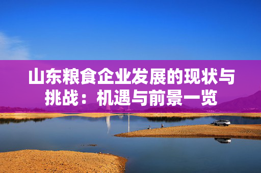 山东粮食企业发展的现状与挑战：机遇与前景一览