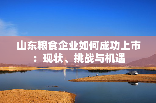 山东粮食企业如何成功上市：现状、挑战与机遇