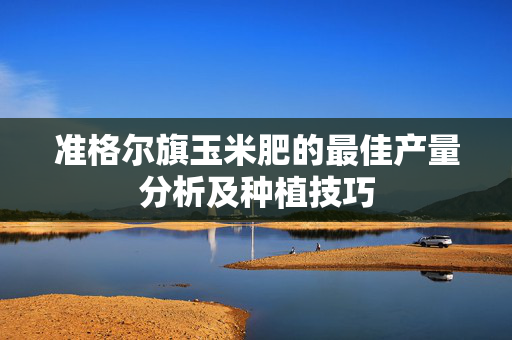 准格尔旗玉米肥的最佳产量分析及种植技巧