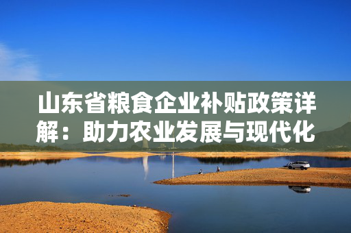 山东省粮食企业补贴政策详解：助力农业发展与现代化