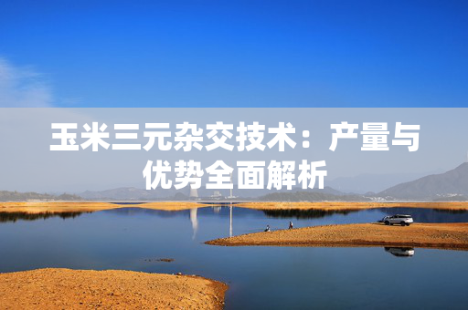 玉米三元杂交技术：产量与优势全面解析