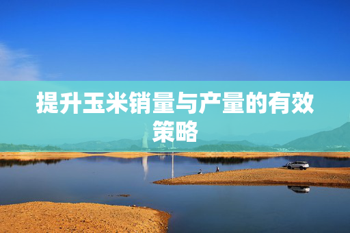 提升玉米销量与产量的有效策略