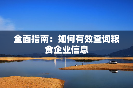 全面指南：如何有效查询粮食企业信息