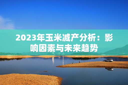 2023年玉米减产分析：影响因素与未来趋势