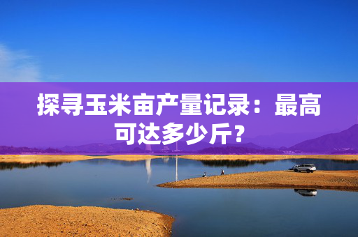 探寻玉米亩产量记录：最高可达多少斤？