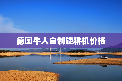 德国牛人自制旋耕机价格
