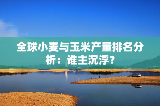 全球小麦与玉米产量排名分析：谁主沉浮？