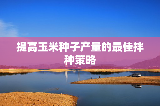 提高玉米种子产量的最佳拌种策略