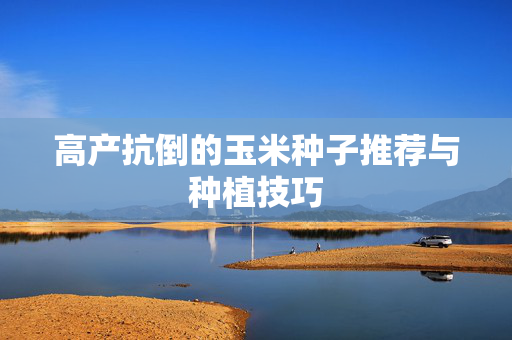 高产抗倒的玉米种子推荐与种植技巧