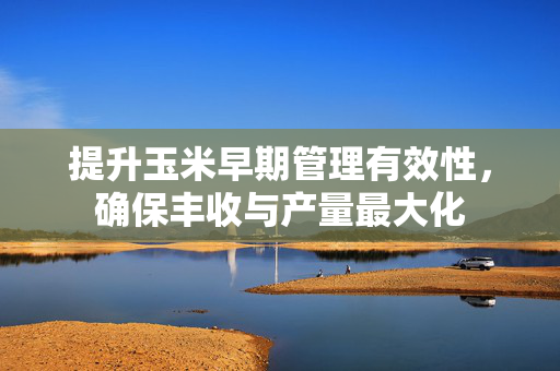 提升玉米早期管理有效性，确保丰收与产量最大化
