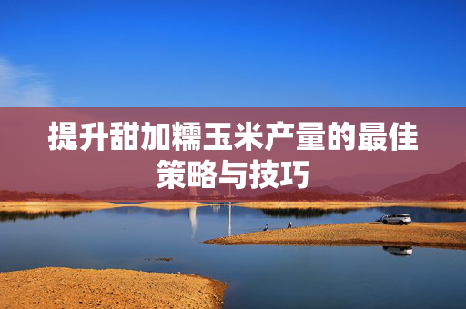 提升甜加糯玉米产量的最佳策略与技巧