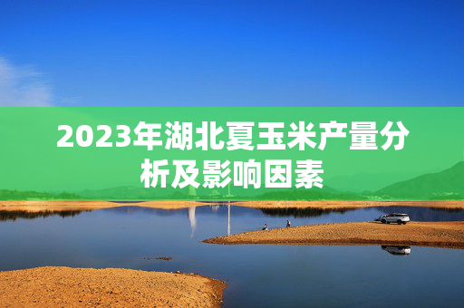 2023年湖北夏玉米产量分析及影响因素
