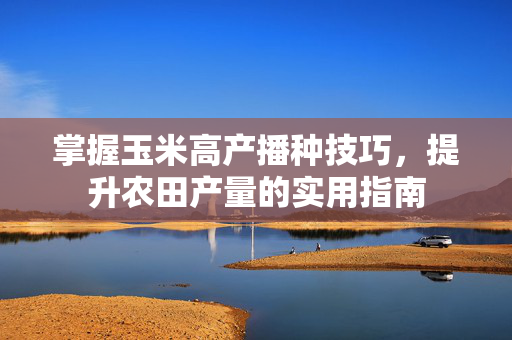 掌握玉米高产播种技巧，提升农田产量的实用指南
