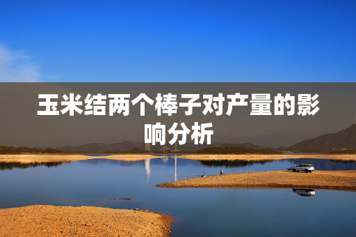 玉米结两个棒子对产量的影响分析