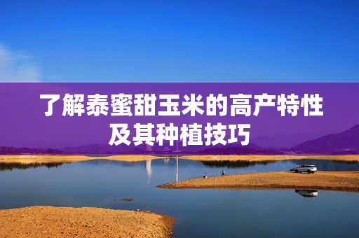 了解泰蜜甜玉米的高产特性及其种植技巧