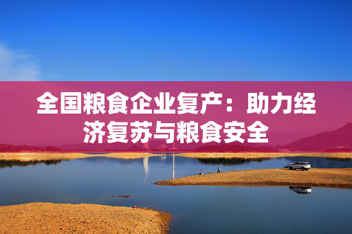 全国粮食企业复产：助力经济复苏与粮食安全