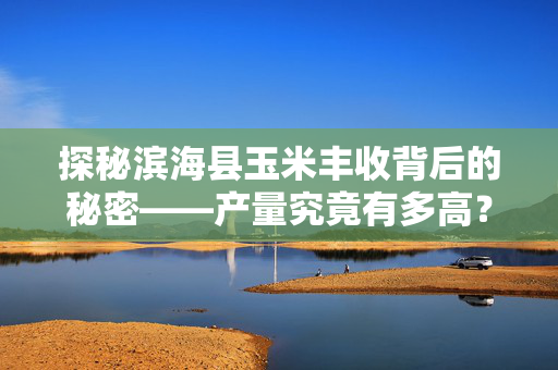 探秘滨海县玉米丰收背后的秘密——产量究竟有多高？