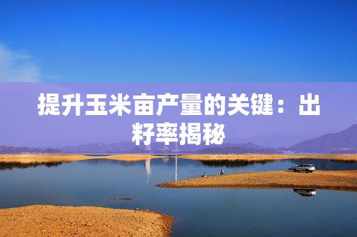 提升玉米亩产量的关键：出籽率揭秘