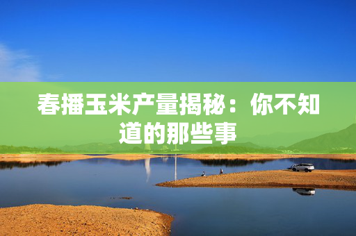 春播玉米产量揭秘：你不知道的那些事