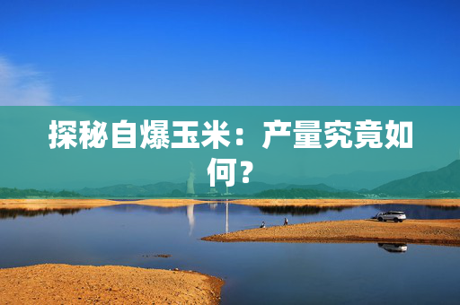探秘自爆玉米：产量究竟如何？