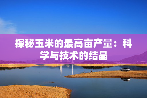 探秘玉米的最高亩产量：科学与技术的结晶