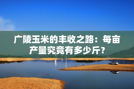 广陵玉米的丰收之路：每亩产量究竟有多少斤？