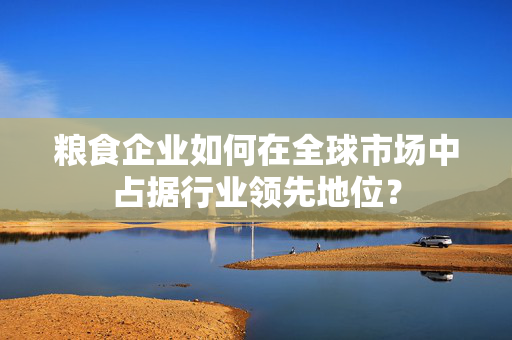 粮食企业如何在全球市场中占据行业领先地位？