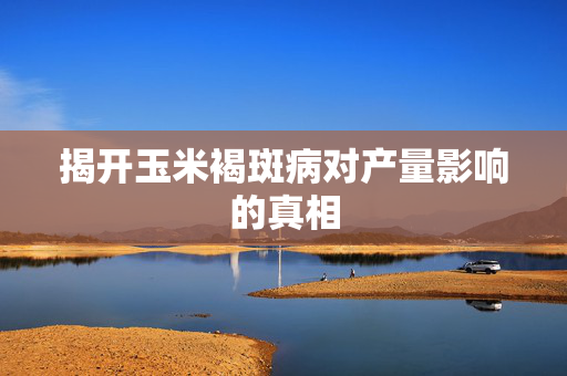 揭开玉米褐斑病对产量影响的真相