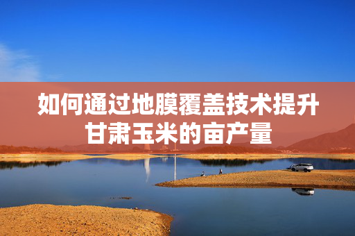 如何通过地膜覆盖技术提升甘肃玉米的亩产量